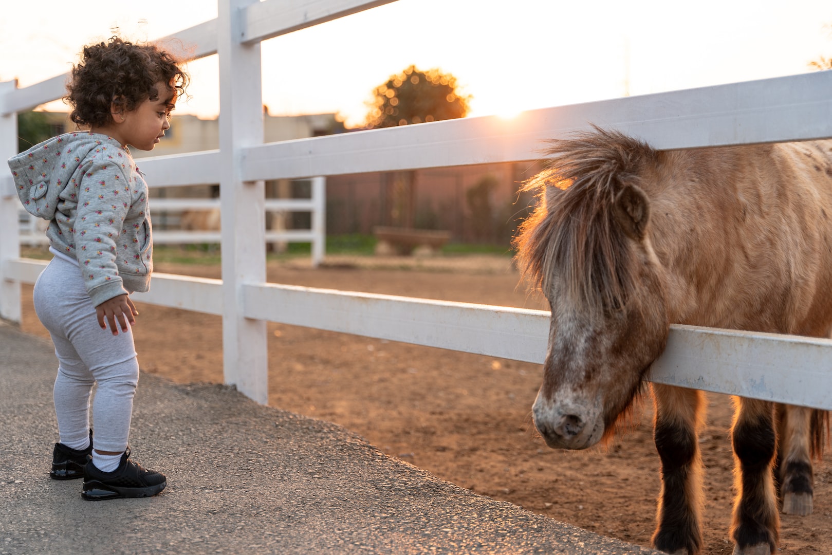 Le poney club permet aux jeunes enfants d'apprendre à connaître les poneys et les chevaux
