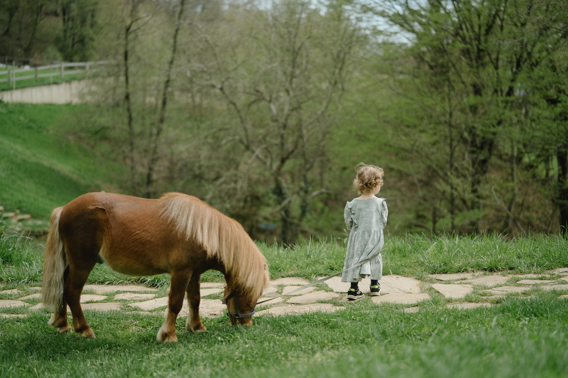 S'occuper d'un poney est bénéfique pour l'enfant