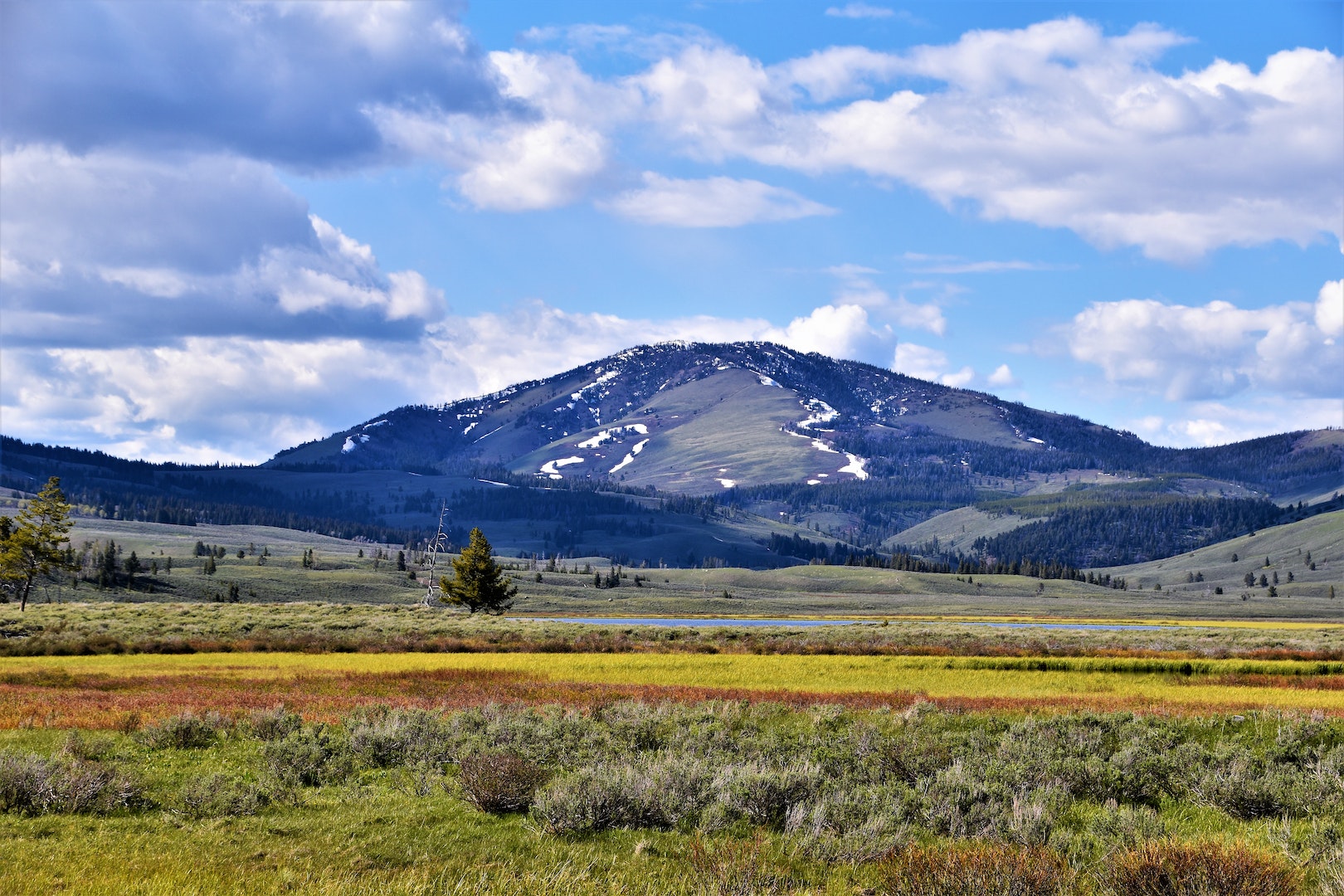 Les parcs nationaux américains comme Yellowstone sont des endroits formidables pour randonner seul ou en famille