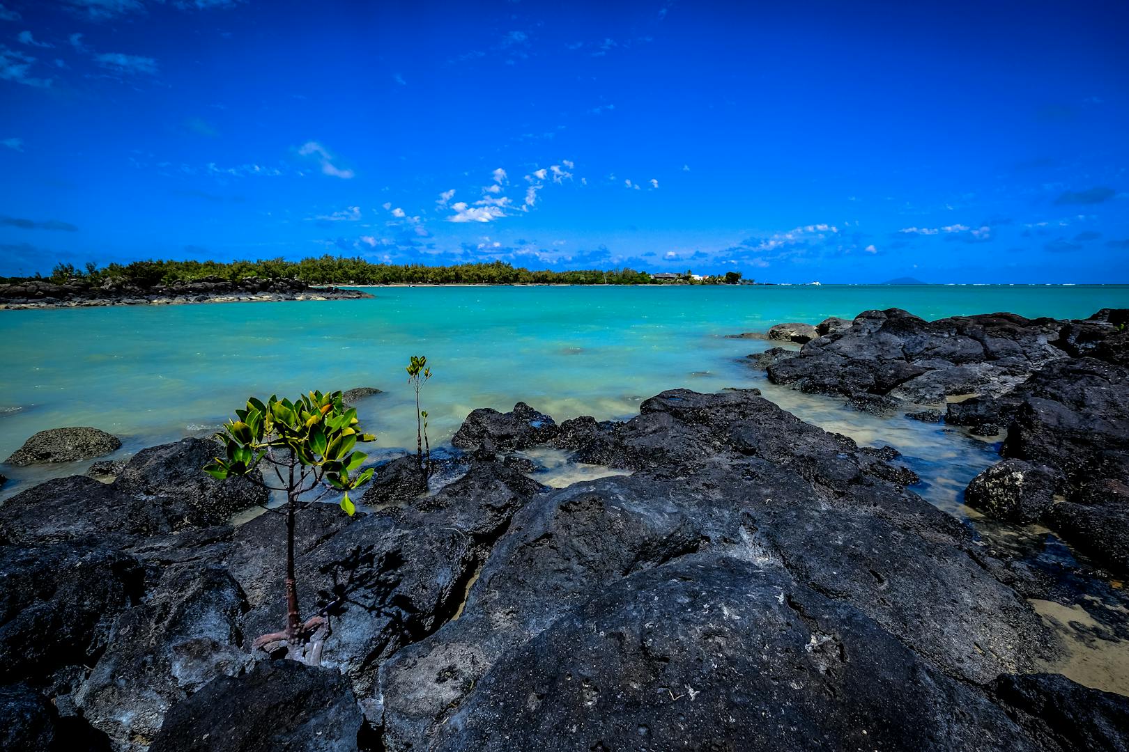 Ile Maurice : la rencontre de la lave et de l'eau
