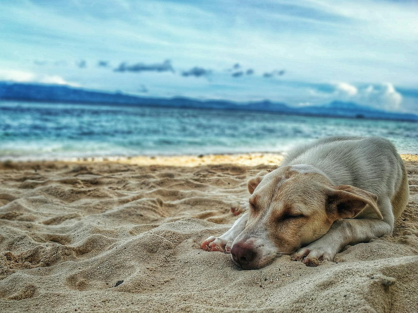 La fatigue dans un petit coin de paradis, quelle plaie (non) !
