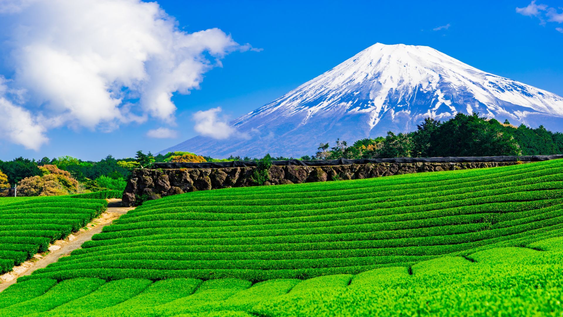 L'ascension du Mont Fuji est emblématique de la randonnée japonaise.