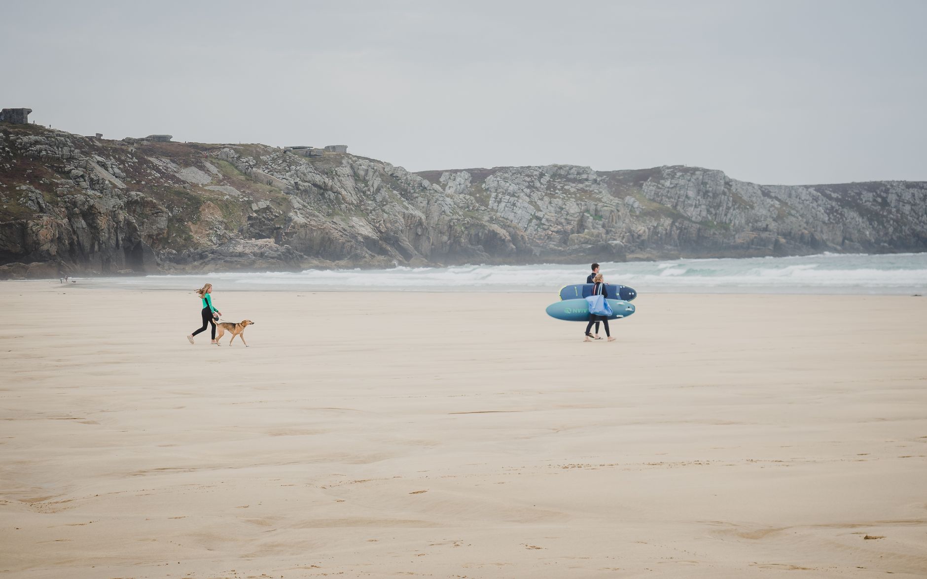 Chien se promenant sur une plage de Bretagne