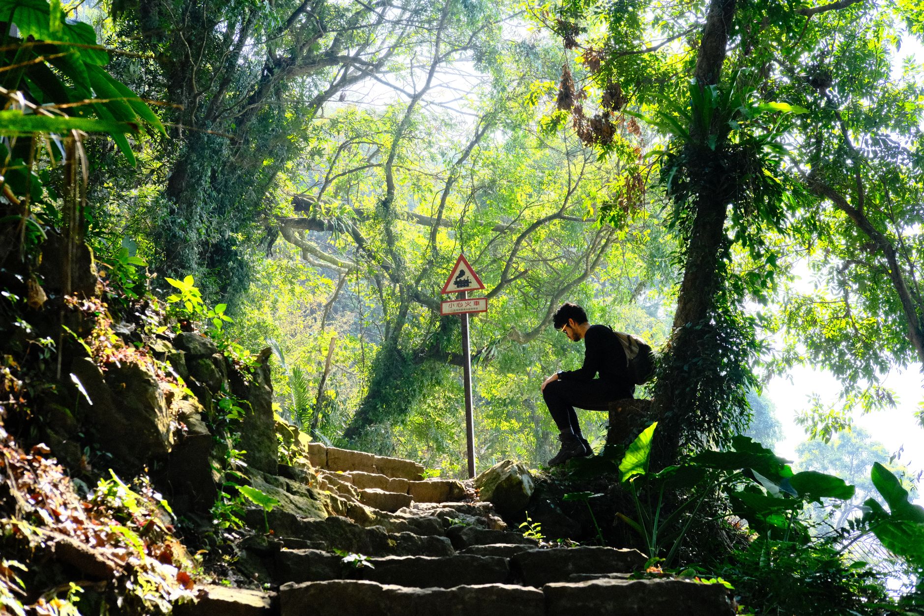 Randonneur en pause a l ombre sur un sentier forestier