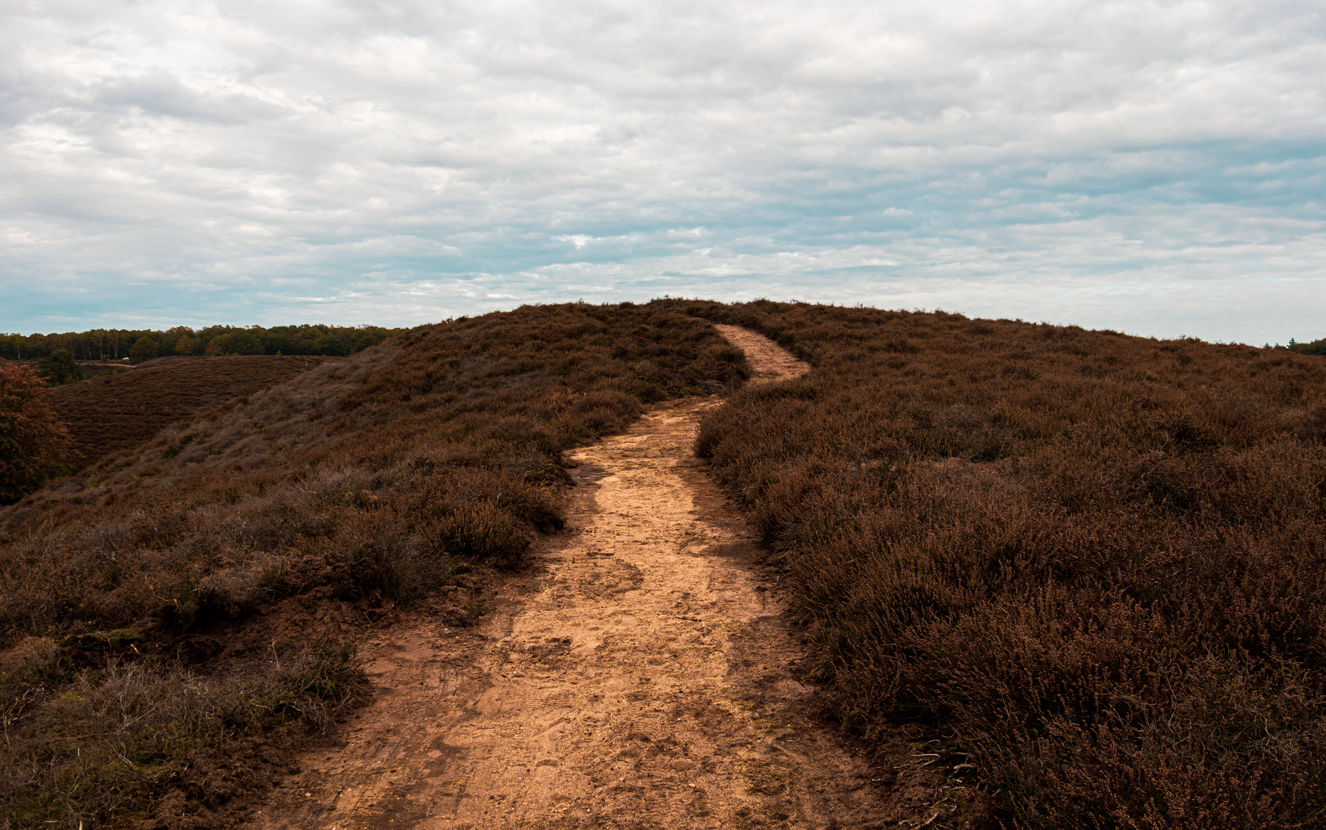 Chemin de terre serpentant dans les landes de bruyère sous un ciel nuageux