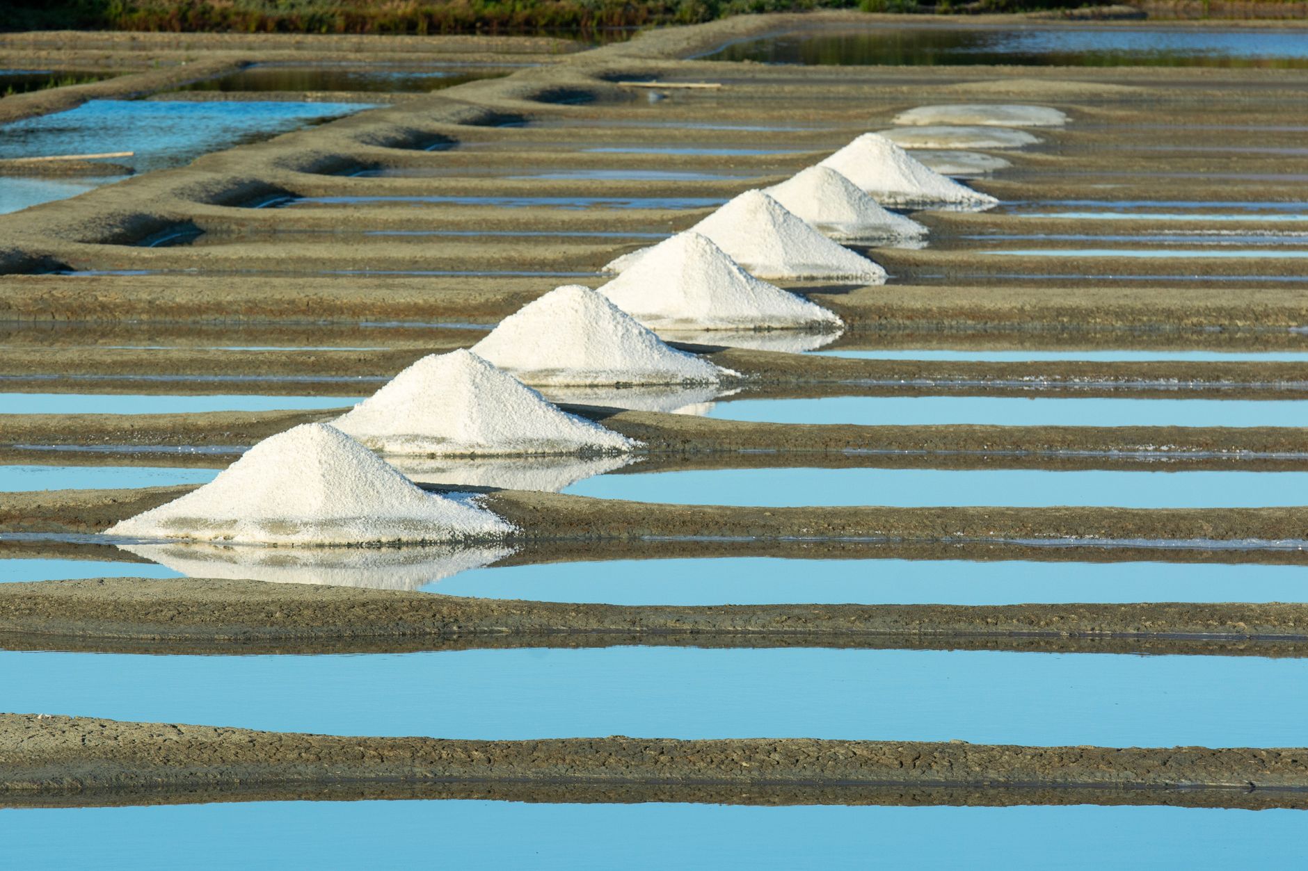 Rangée de tas de sel blanc alignés sur les talus d'argile entre des bassins d'eau d'un marais salant
