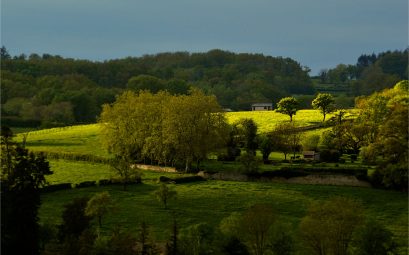 Campagne vallonnée au printemps : prairies séparées par des haies et des rangées d'arbres, murets de pierre et petites maisons, sous un ciel d'orage