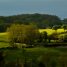 Campagne vallonnée au printemps : prairies séparées par des haies et des rangées d'arbres, murets de pierre et petites maisons, sous un ciel d'orage