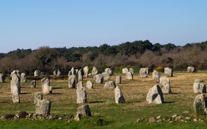 Files de menhirs de granite de tailles variées dans une prairie rase, bordée d'un bois
