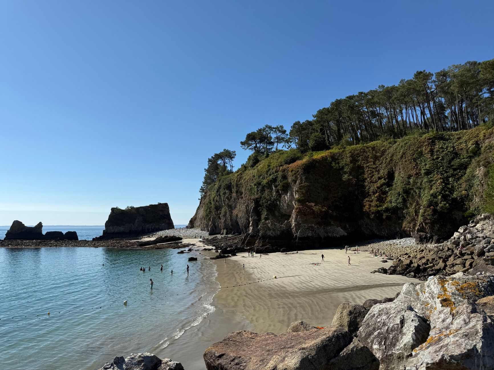 Plage de sable au pied d'une falaise couverte de pins sur la presqu'île de Crozon